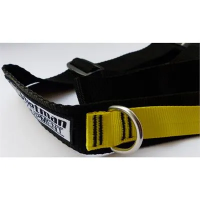 Whetman Equipment Water Belt