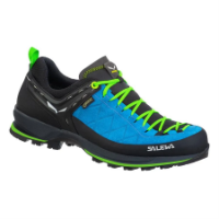 Picture of Mountain Trainer 2 GTX Men's