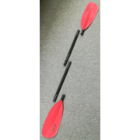 TNP Rapa Glass 4 Piece & Bag