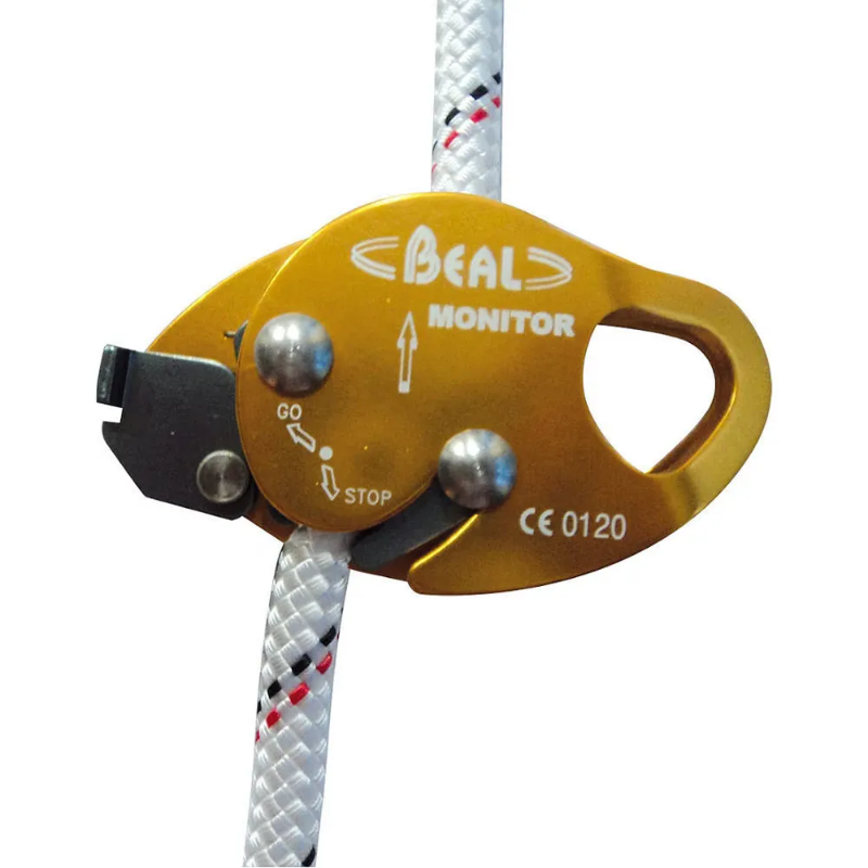 Beal Monitor