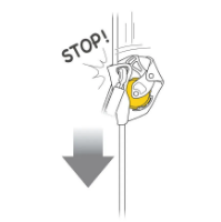 Petzl ASAP