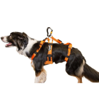 SAR Products Dog Harness