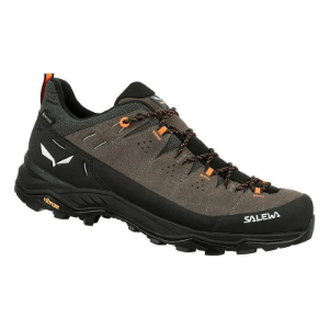 Salewa Alp Trainer 2 GTX Men's Bungee Cord Black