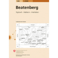 Swisstopo Swiss National Map 1:25 000