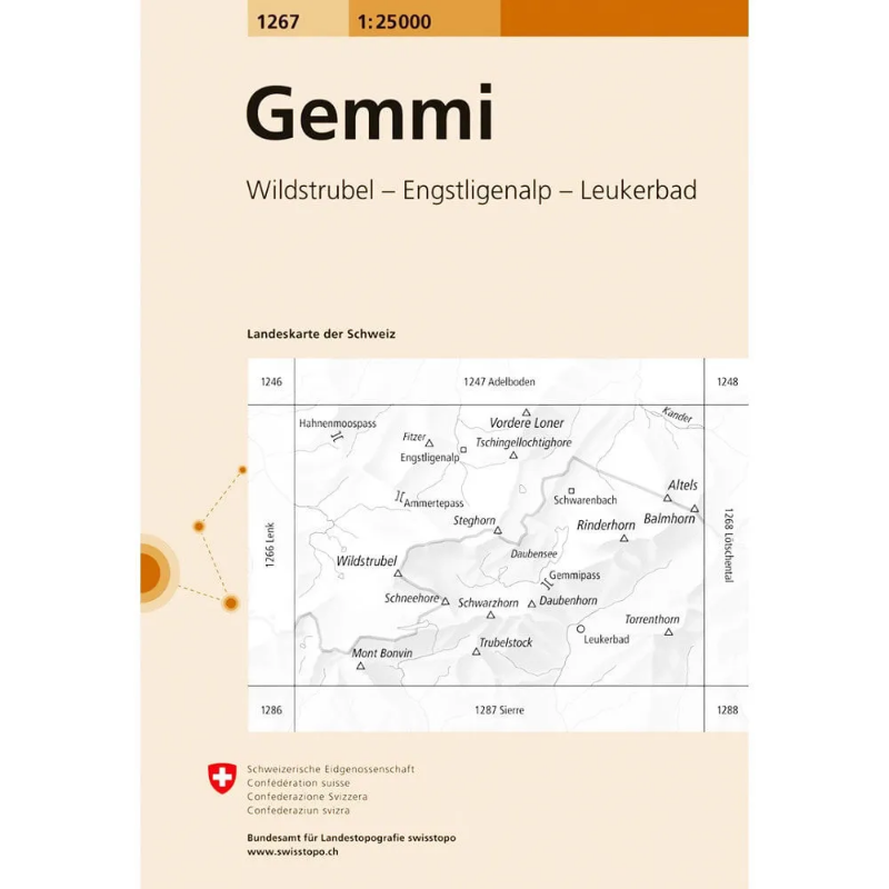 Swisstopo Swiss National Map 1:25 000