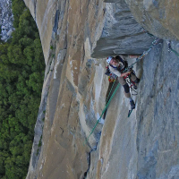 Metolius 5 Step Aiders