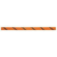 Petzl Axis