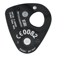 Petzl Nano Traxion