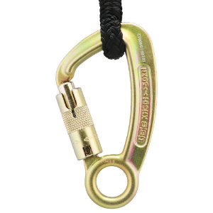 ISC Captive Eye Karabiner