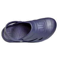 Telic Dream in Deep Ocean