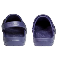 Telic Dream in Deep Ocean
