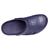 Telic Dream in Deep Ocean