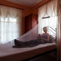 Life Systems MicroNet Mosquito Net