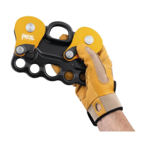 Petzl Reeve