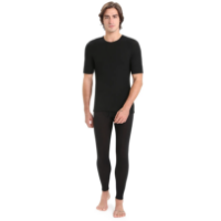 Icebreaker Men's Merino 175 Everyday Short Sleeve Crewe Thermal Top
