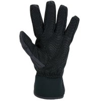 Sealskinz Waterproof All Weather Lightweight Glove