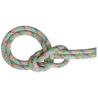 Mammut 9.5 Crag We Care Dry Rope
