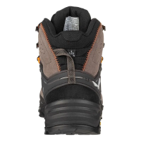 Salewa Alp Trainer 2 Mid GTX Men's