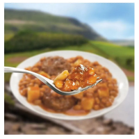 Wayfayrer Main Meal