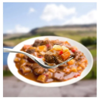 Wayfayrer Main Meal