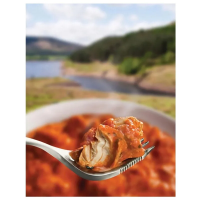 Wayfayrer Main Meal