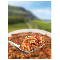 Wayfayrer Main Meal