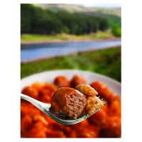 Wayfayrer Main Meal