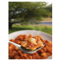 Wayfayrer Main Meal
