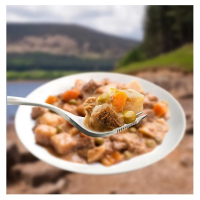 Wayfayrer Main Meal