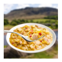Wayfayrer Main Meal