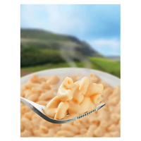 Wayfayrer Main Meal Macaroni Cheese
