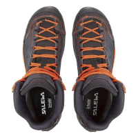Salewa Mountain Trainer Mid GTX Men's