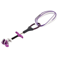 DMM Dragonfly Cam
