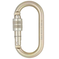 DMM 10mm Oval