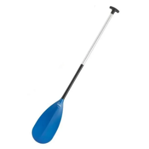 Palm Alba Paddle