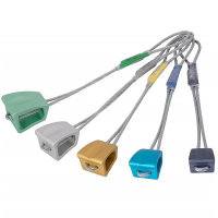 DMM Wallnut Set