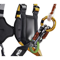 Petzl Simba Climbing
