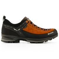 Salewa Mountain Trainer 2 GTX Men's in Autumnal Black