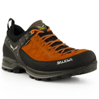 Salewa Mountain Trainer 2 GTX Men's in Autumnal Black