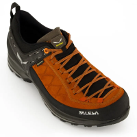 Salewa Mountain Trainer 2 GTX Men's in Autumnal Black