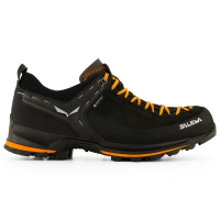 Salewa Mountain Trainer 2 GTX Men's in Black Carrot