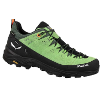 Salewa Alp Trainer 2 GTX Men's