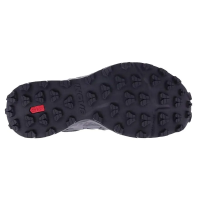 INOV8 Roclite GTX Men Dark Grey / Black