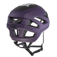 Beal Indy in Purple / Black