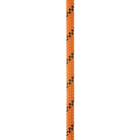 Petzl Axis 11mm