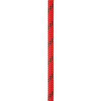 Petzl Axis 11mm