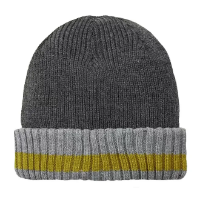 Sealskinz Holkham - Waterproof Cold Weather Stripe RC Beanie
