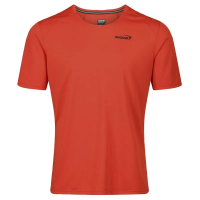 INOV8 Performance Short Sleeve T-Shirt Men's in Fiery Red / Red