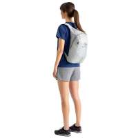 Sea to Summit Ultra-Sil Daypack in High Rise