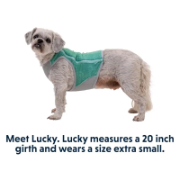 Ruffwear Swamp Cooler Zip Dog Cooling Vest - Aurora Teal